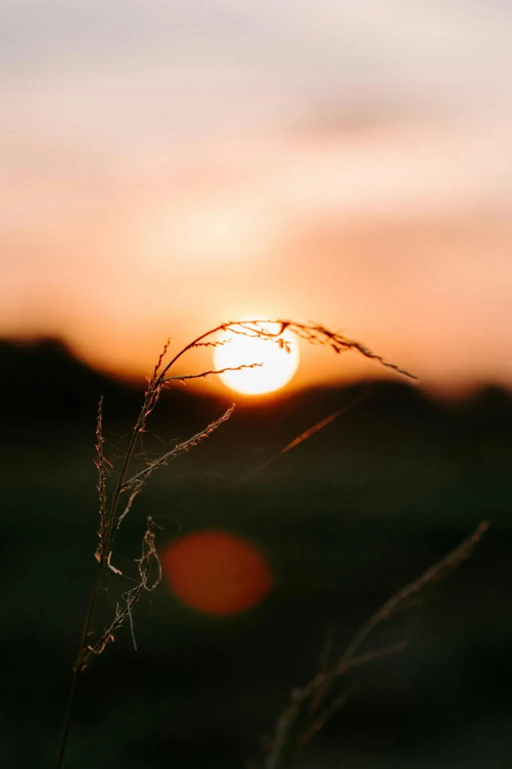Evera Psychotherapy in Guelph